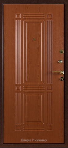 Порошковая дверь DR223