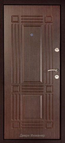 Порошковая дверь DR417